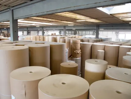 reels of brown and white paper in a paper mill